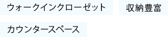 ウォークインクローゼット 収納豊富 カウンタースペース